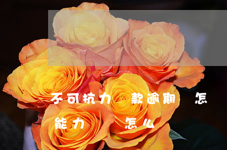 不可抗力貸款逾期會怎樣(信用貸款逾期了沒能力償還怎么辦)