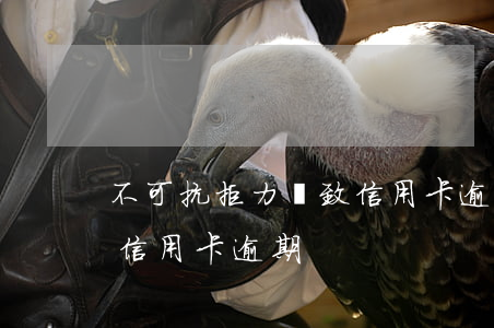 不可抗拒力導致信用卡逾期(因特殊情況導致信用卡逾期)