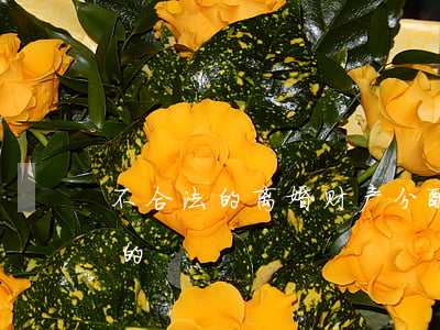 不合法的离婚财产分配(离婚财产是怎样分配的)
