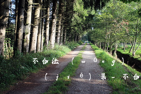 不合法網(wǎng)貸逾期無力償還最壞結(jié)果-不合法網(wǎng)貸逾期無力償還最壞結(jié)果是什么