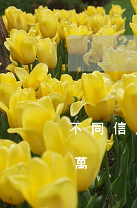 不同信用卡逾期超5萬(不同信用卡逾期超5萬)