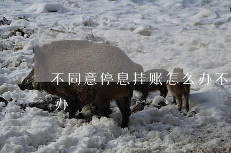 不同意停息挂账怎么办(不同意停息挂账怎么办)