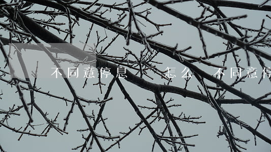 不同意停息掛賬怎么辦(不同意停息掛賬怎么辦)