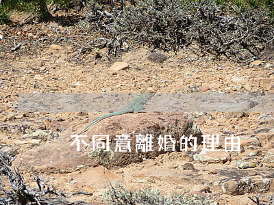 不同意離婚的理由