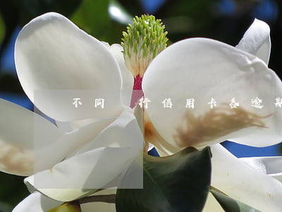不同銀行信用卡各逾期一次(信用卡 逾期 一次)