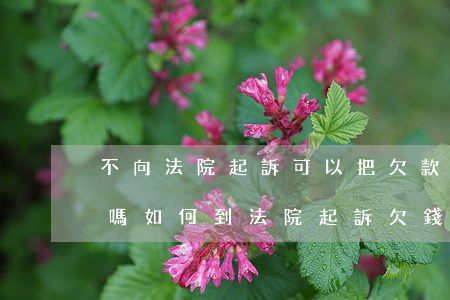 不向法院起訴可以把欠款要回來(lái)嗎(如何到法院起訴欠錢不還者)