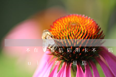 不在乎征信信用卡不還(信用卡逾期還會(huì)影響征信嗎)