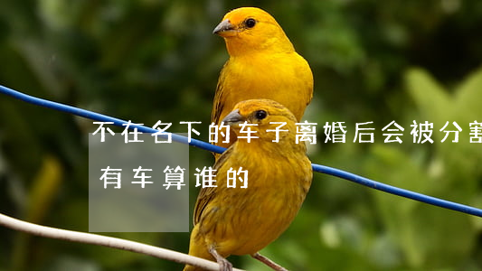 不在名下的车子离婚后会被分割吗(离婚名下有车算谁的)