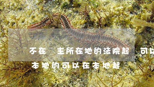 不在貨主所在地的法院起訴可以嗎(被告不是本地的可以在本地起訴嗎)