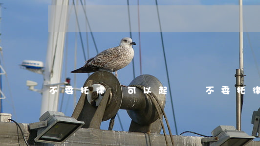 不委托律師可以起訴嗎(不委托律師可以起訴嗎)