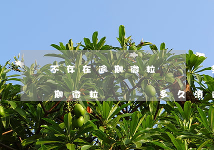 不存在逾期微粒貸記錄多久消除-不存在逾期微粒貸記錄多久消除掉