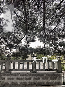 不小心信用卡逾期一天怎么辦（信用卡逾期一天有事情嗎）