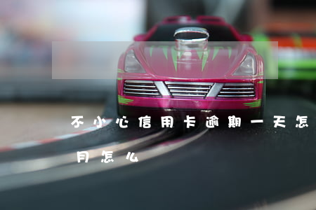 不小心信用卡逾期一天怎么辦（信用卡逾期一月怎么辦）