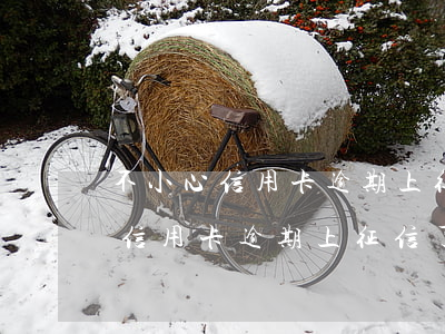 不小心信用卡逾期上征信了怎么辦-不小心信用卡逾期上征信了怎么辦呢
