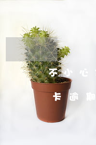 不小心信用卡逾期了怎么恢復(fù)（信用卡逾期還完了可以立馬恢復(fù)嗎）