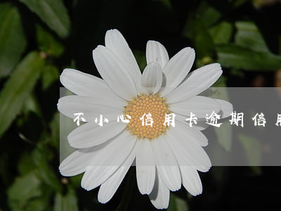 不小心信用卡逾期（信用卡逾期一點會怎樣）