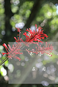 不小心信用卡逾期（信用卡逾期實(shí)在困難）