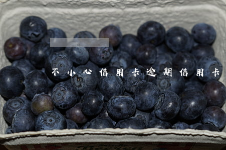 不小心信用卡逾期（信用卡逾期惡意躲避）