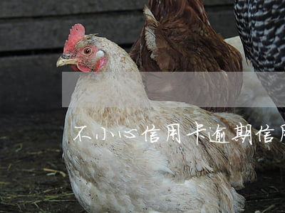 不小心信用卡逾期（信用卡逾期消費不了）