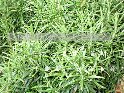 不小心信用卡逾期十几天关系大吗（交通信用卡逾期十天会不会有事）