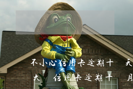 不小心信用卡逾期十幾天關(guān)系大嗎（信用卡逾期十個月后果）