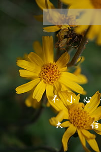 不小心信用卡逾期十幾天關(guān)系大嗎（信用卡逾期十天以內(nèi)）