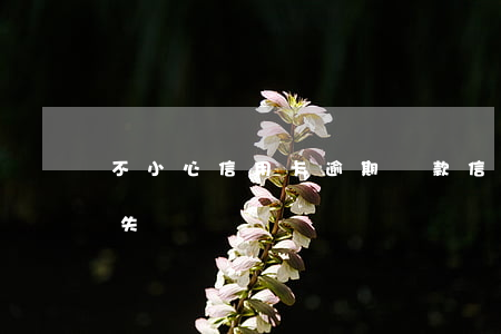 不小心信用卡逾期還款(信用卡逾期太久還款失敗)