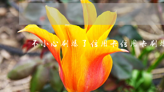 不小心刷爆了信用卡（信用卡刷爆没逾期）