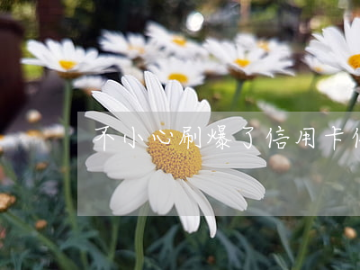 不小心刷爆了信用卡（信用卡刷爆逾期怎么办）