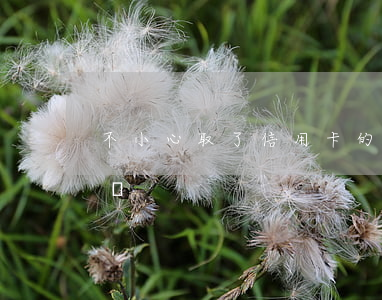 不小心取了信用卡的錢（信用卡逾期了能取錢嗎）