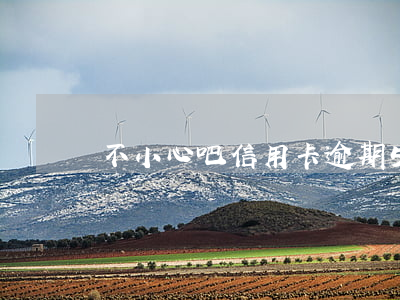 不小心吧信用卡逾期5個月