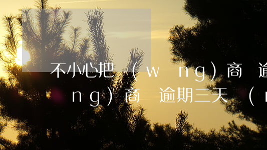 不小心把網(wǎng)商貸逾期了(網(wǎng)商貸逾期三天沒(méi)有影響)