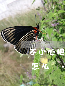 不小心把錢轉(zhuǎn)到過期信用卡怎么辦-不小心把錢轉(zhuǎn)到過期信用卡怎么辦理