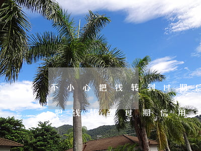 不小心把钱转到过期信用卡怎么办-不小心把钱转到过期信用卡怎么办理