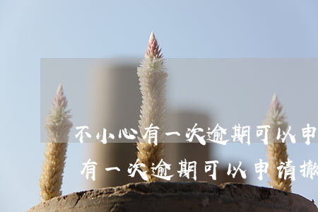 不小心有一次逾期可以申请撤销吗-不小心有一次逾期可以申请撤销吗怎么办