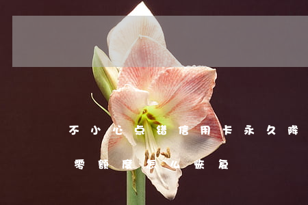 不小心点错信用卡永久降额度（信用卡逾期降零额度怎么恢复）