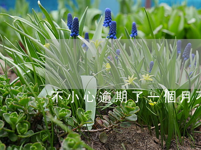 不小心逾期了一個月(不小心逾期一次)