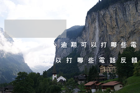不小心逾期可以打哪些電話反饋-不小心逾期可以打哪些電話反饋呢