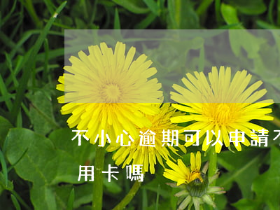 不小心逾期可以申請(不小心逾期可以申請信用卡嗎)