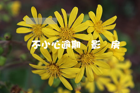 不小心逾期會影響房貸嗎(有一個逾期影響房貸嗎)