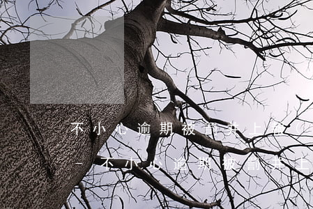 不小心逾期被罰并上報(bào)了怎么辦-不小心逾期被罰并上報(bào)了,怎么辦?