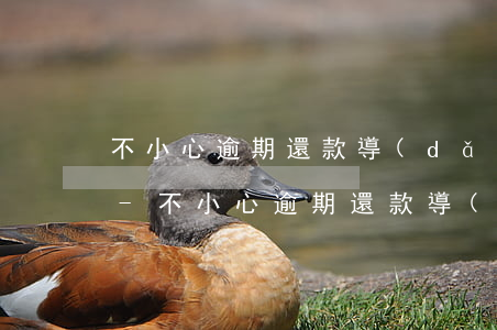 不小心逾期還款導(dǎo)致征信怎么辦-不小心逾期還款導(dǎo)致征信怎么辦呢