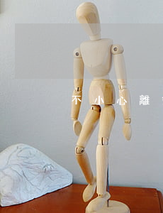 不小心離婚了怎么辦小說