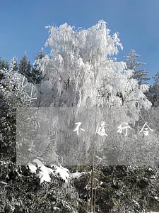 不履行合同義務(wù)怎么辦
