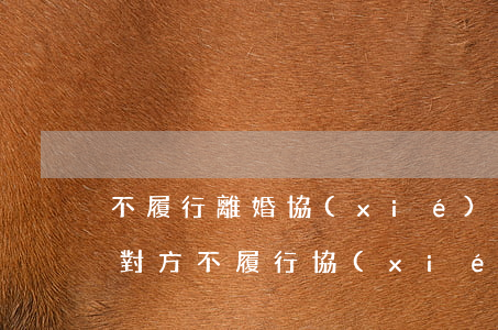 不履行離婚協(xié)議怎么起訴(離婚后對方不履行協(xié)議怎么起訴)