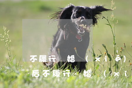 不履行離婚協(xié)議的后果如何(離婚后不履行離婚協(xié)議怎么辦)