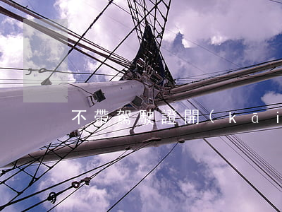 不帶駕駛證開(kāi)車怎么處罰