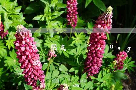 不幫朋友還網(wǎng)貸是不是無情還款-