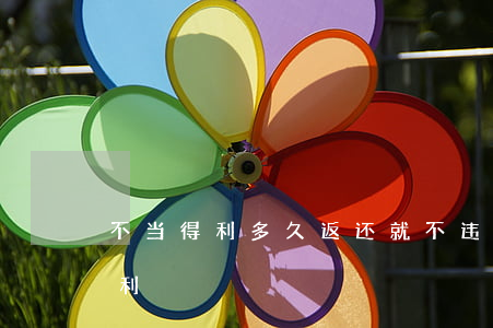 不当得利多久返还就不违法（逾期返还不当得利）