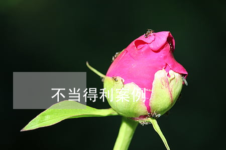 不当得利案例
